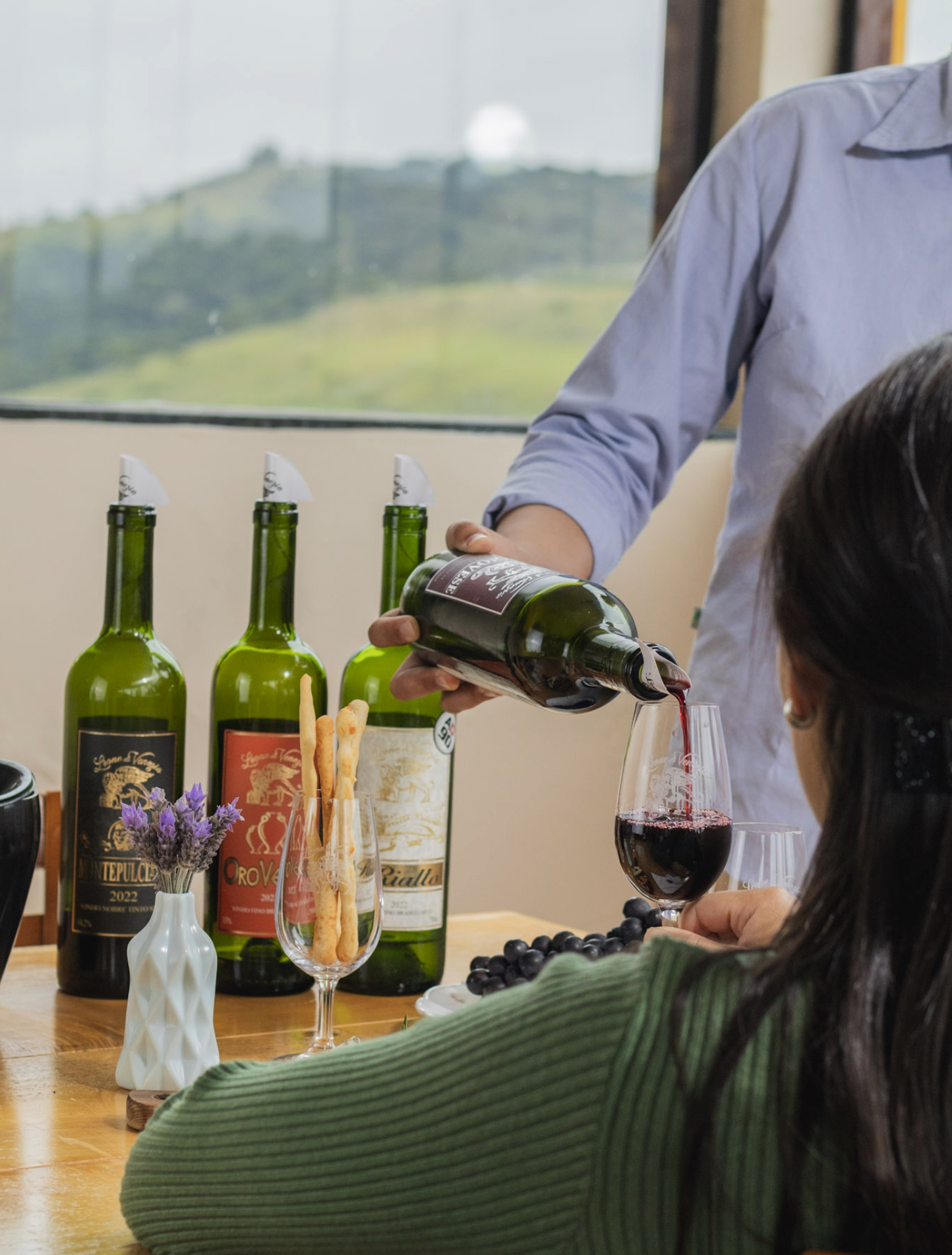 Experiência Leone di Venezia 4