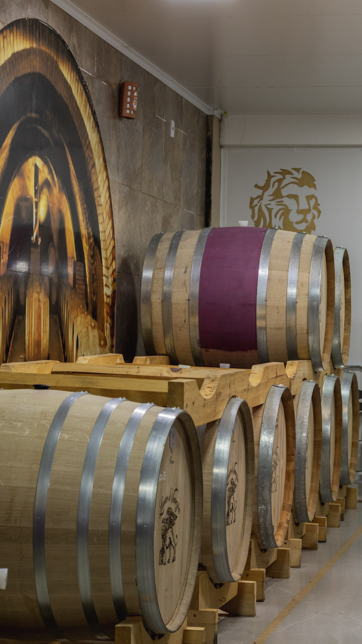 Experiência Leone di Venezia 6